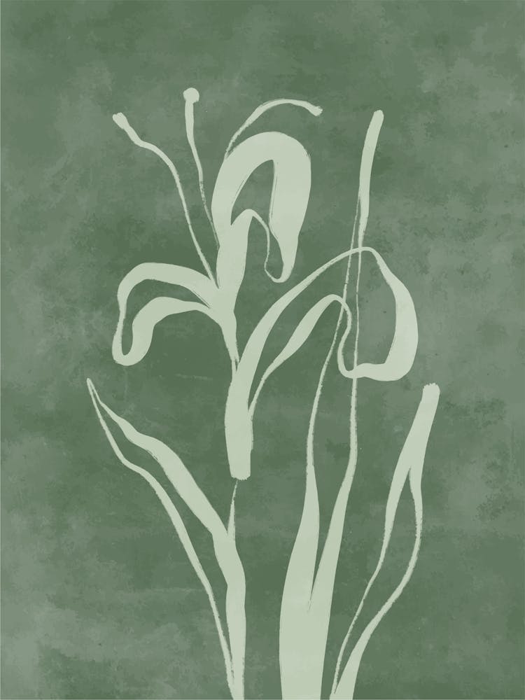 Irises