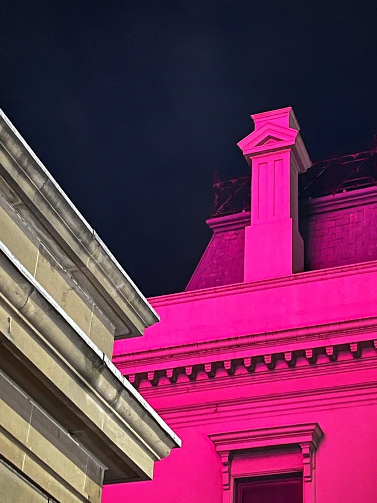 PAINTING in pink light no.1, 2024