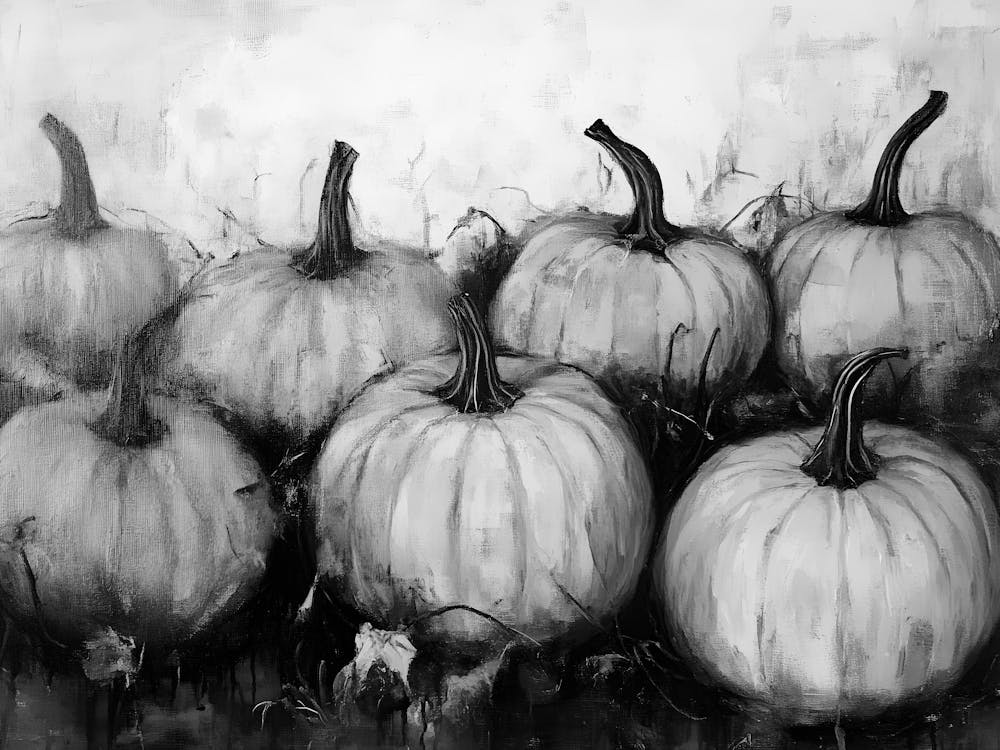 Black And White Pumpkins 25