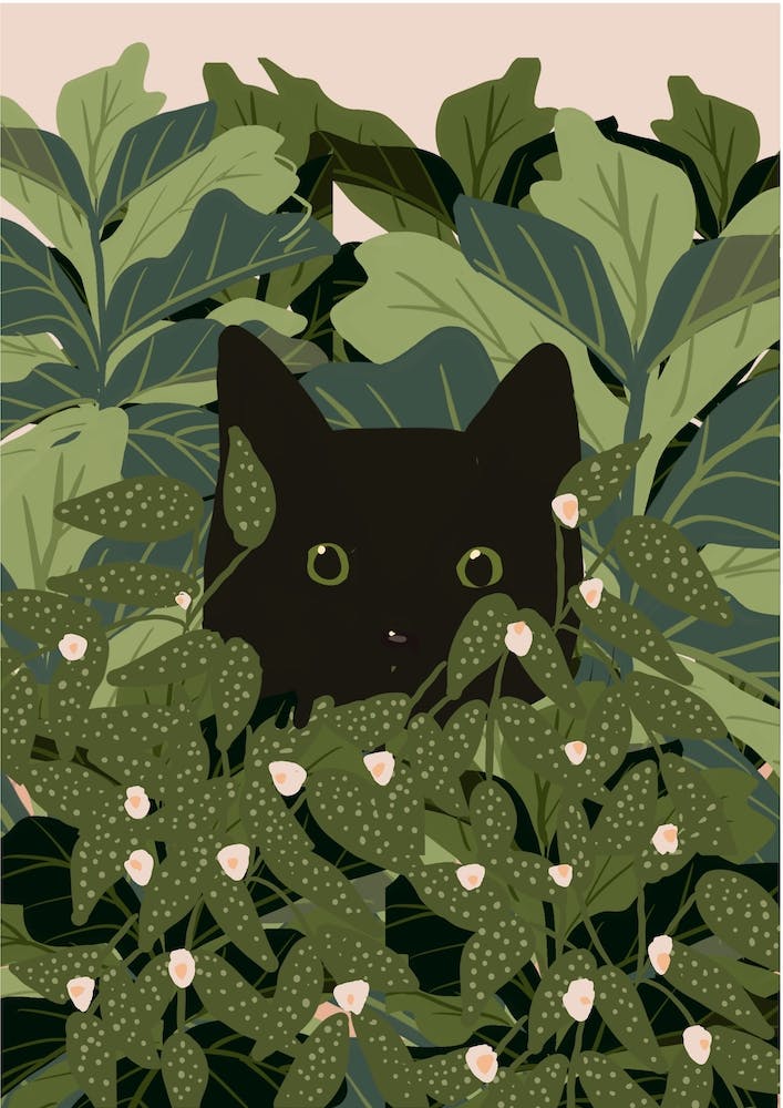 Peeking Black Cat In Plants