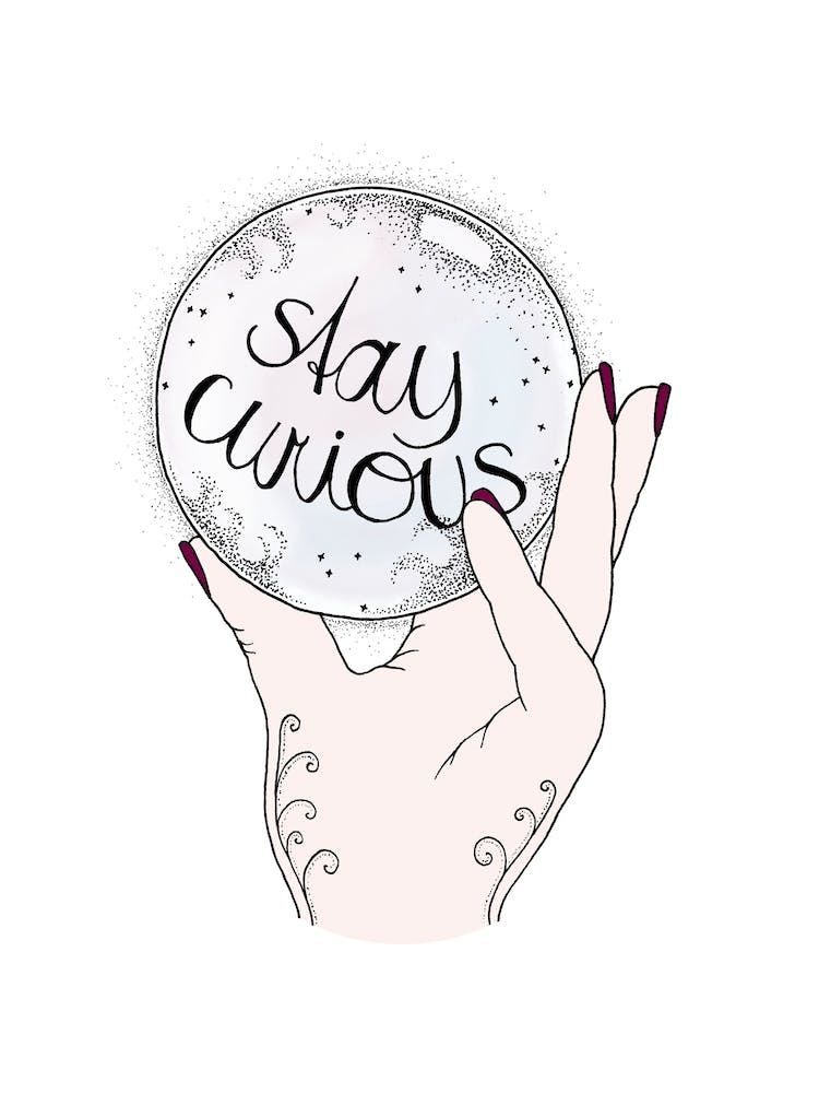 Stay Curious