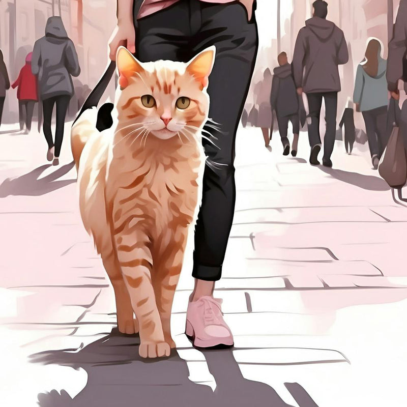 Cat On The Street