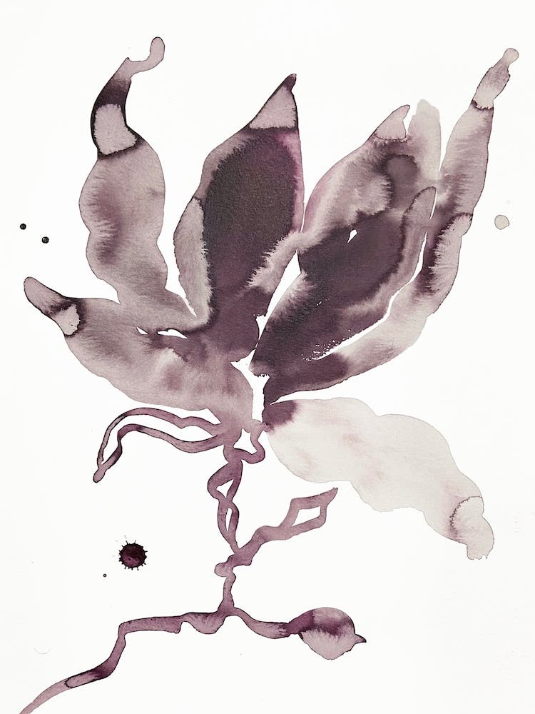 Magnolia 53