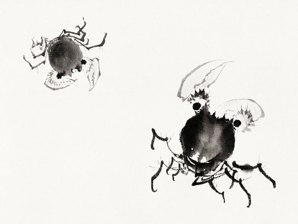 Japanese Crabs, Album Of Sketches (1760–1849), Katsushika Hokusai