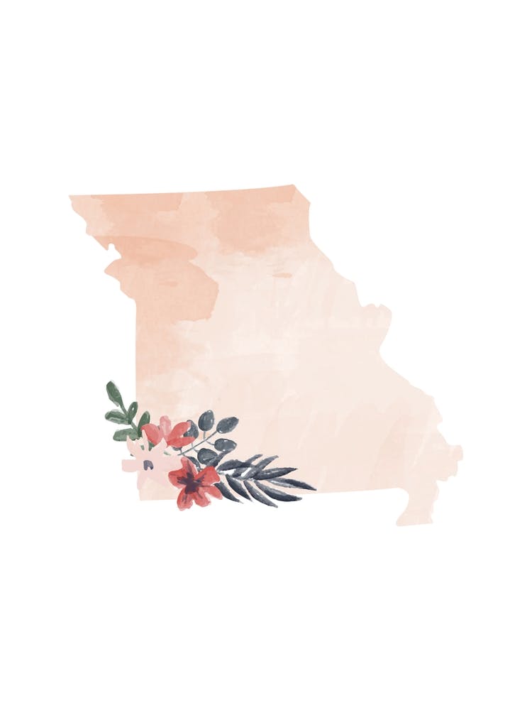 Missouri Watercolor Floral State