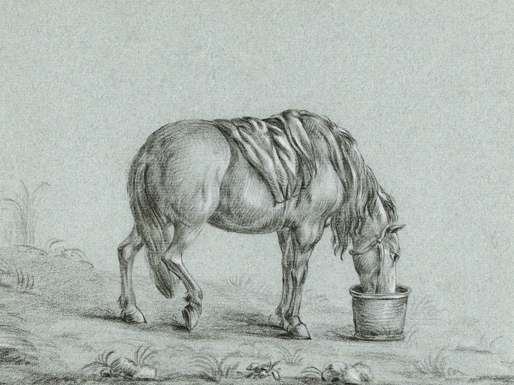 Horse Eating From A Bin, Jean Bernard