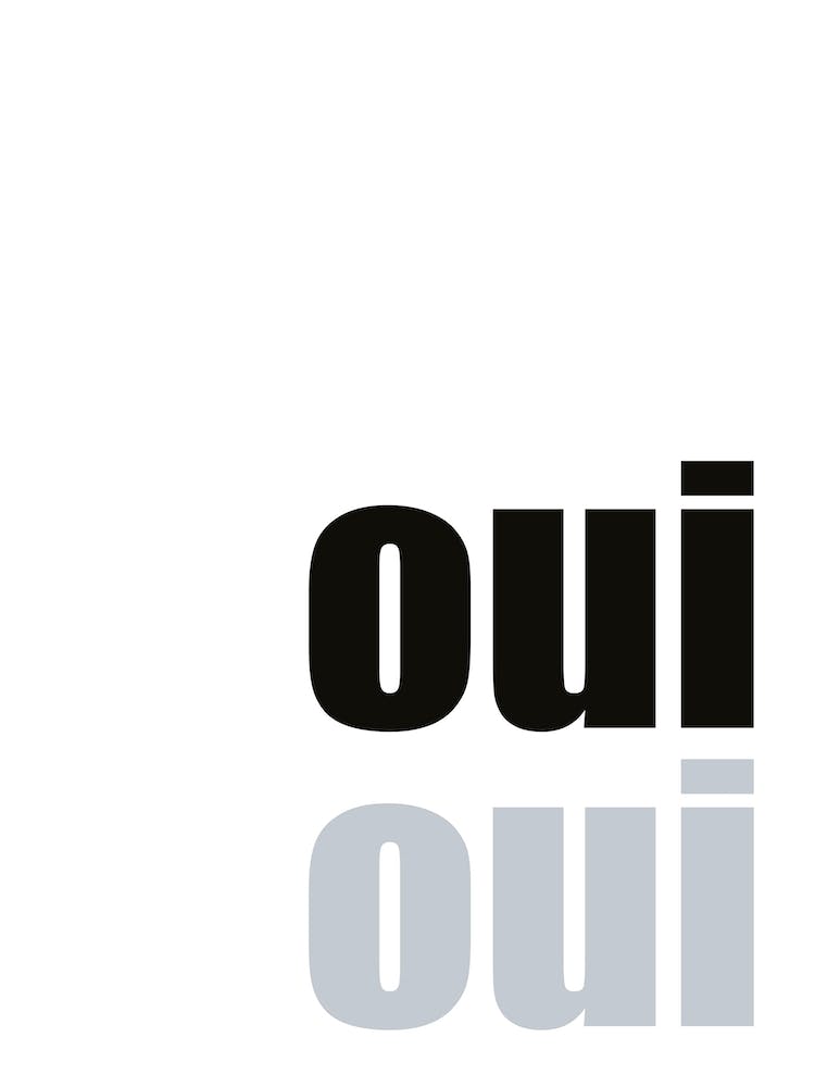 Black & White ‘Oui Oui’ Bathroom