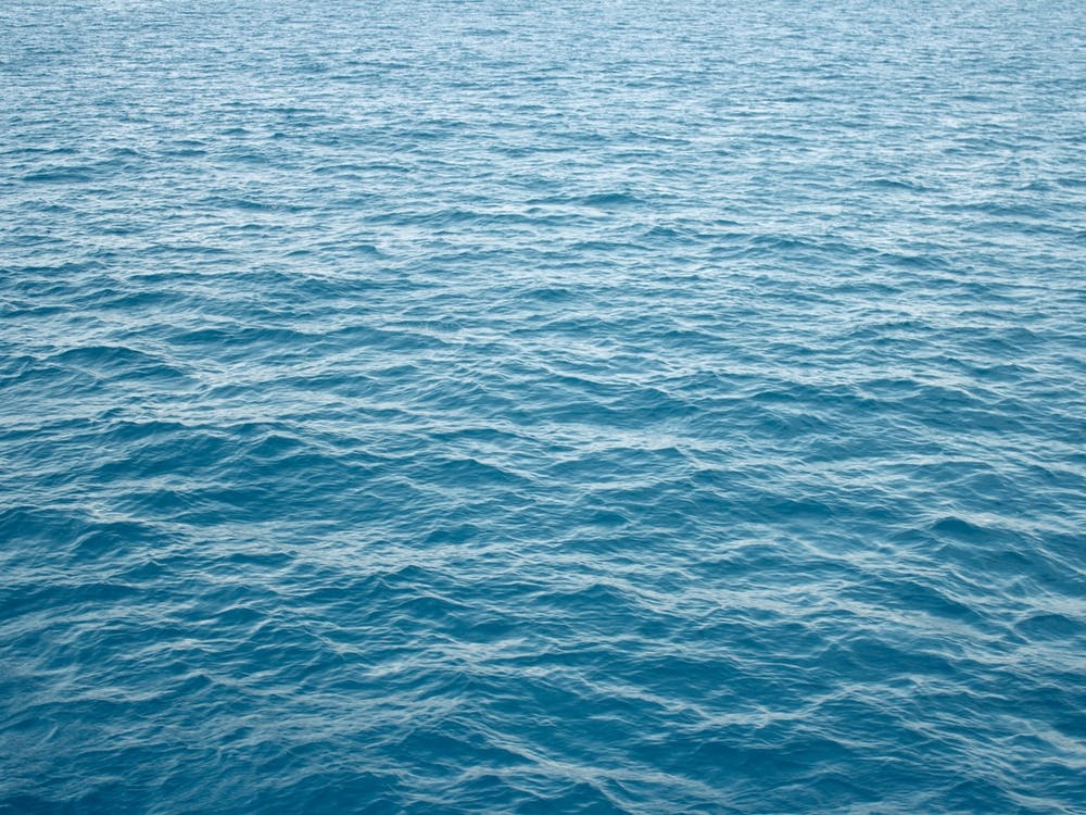 Full Ocean 43