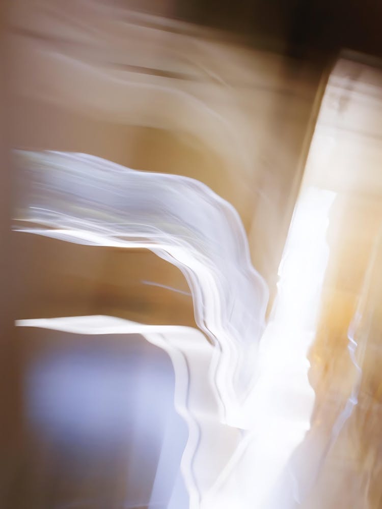 Abstract - Abstract 1