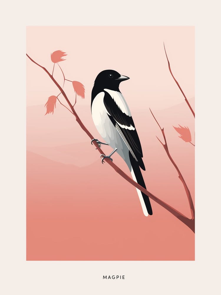 Minimalist Magpie 5 Bird Poster