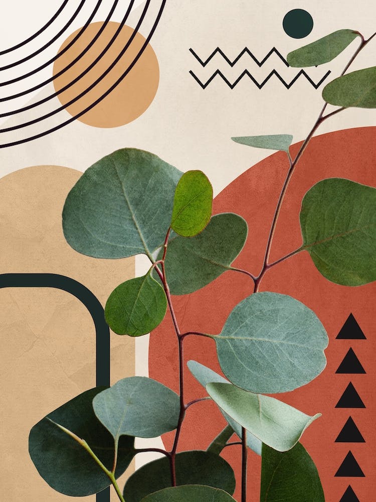 Nature Geometry Ix