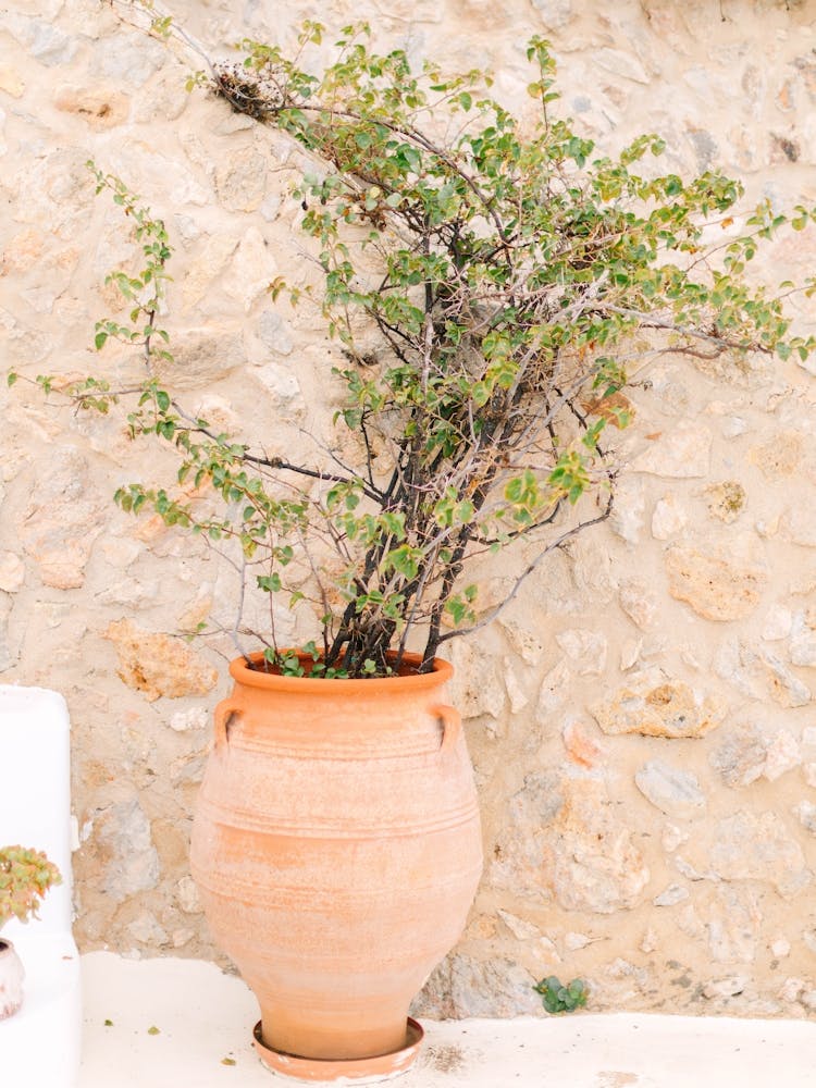 Greece Still Life