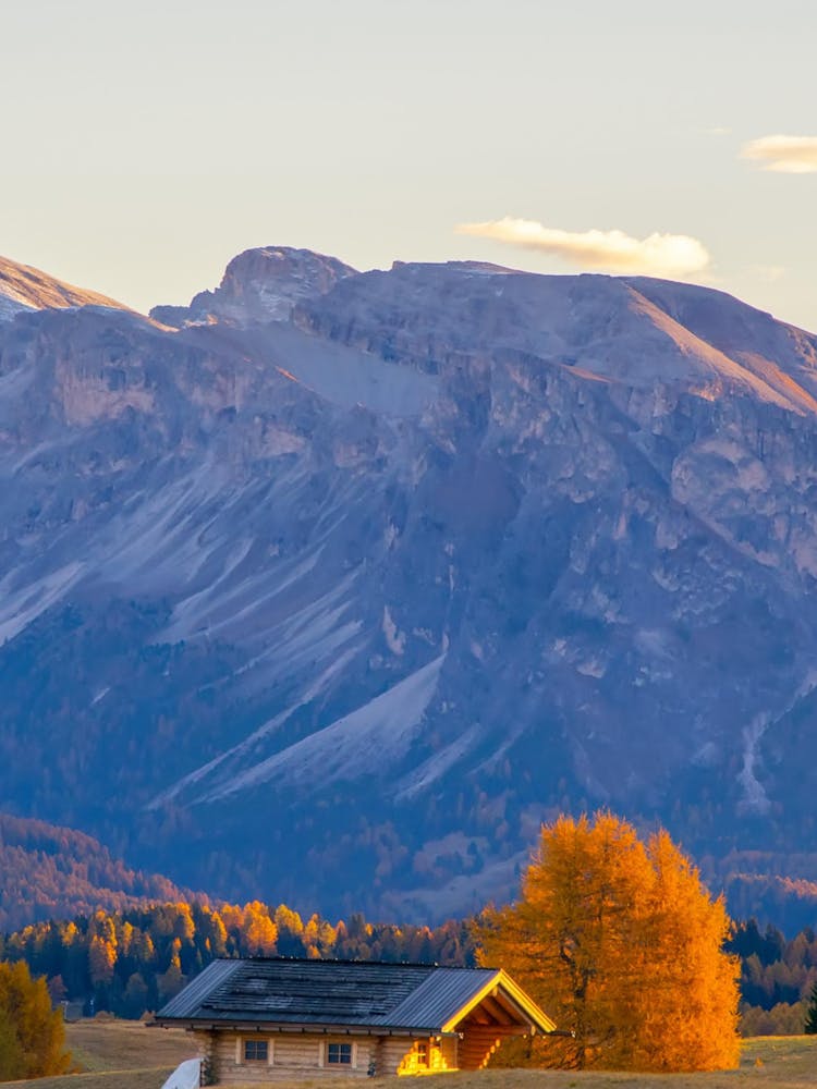 Autumn In The Alps