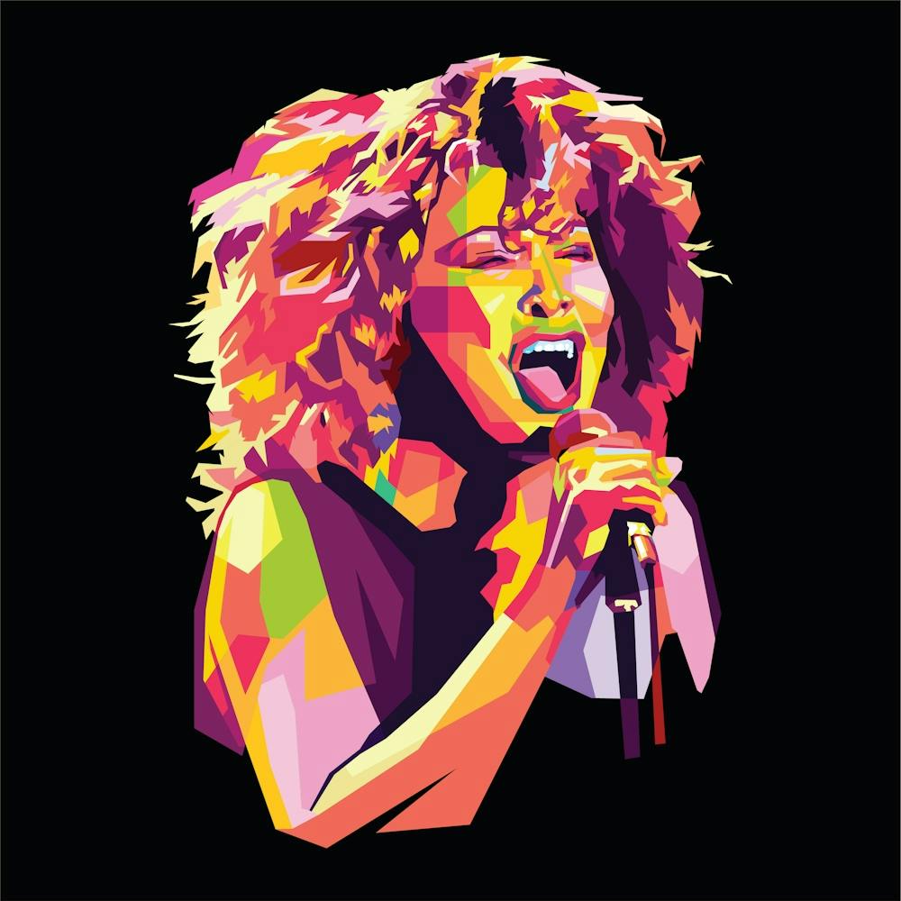 Tina Turner in wpap pop art