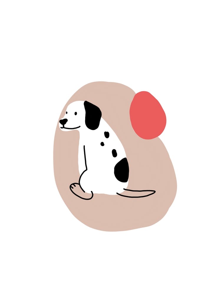 Puppy 1