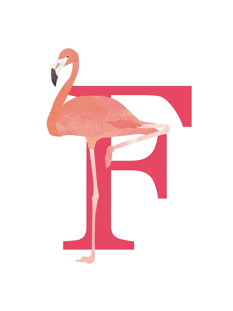 F For Flamingo