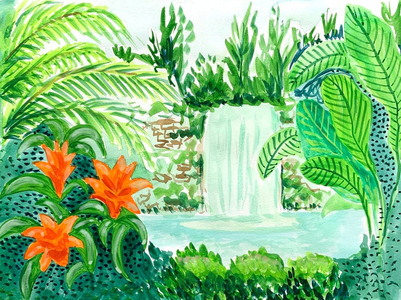 Rainforest