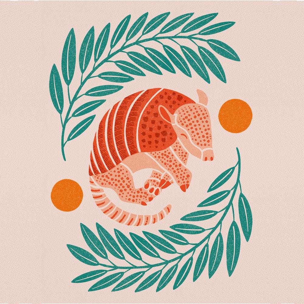 Armadillo   Orange And Teal Square