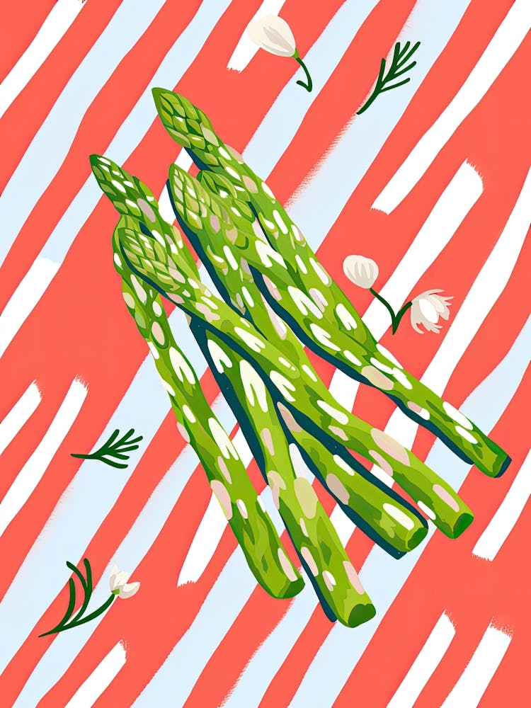 Asparagus Summer Illustration 1