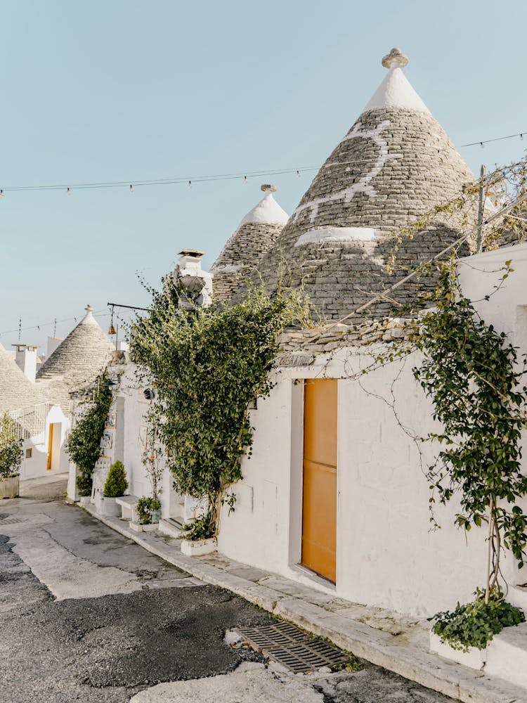 Trulli House with plants in Alberobello, Puglia, Italy | Architecture and travel photography