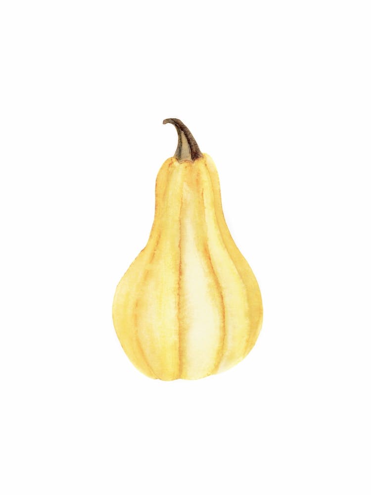 Gelber Kürbis