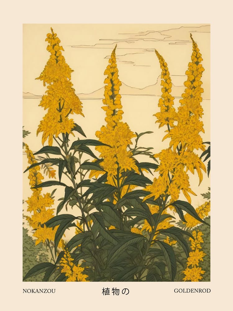 Nokanzou Goldenrod 2 Vintage Japanese Botanical Poster