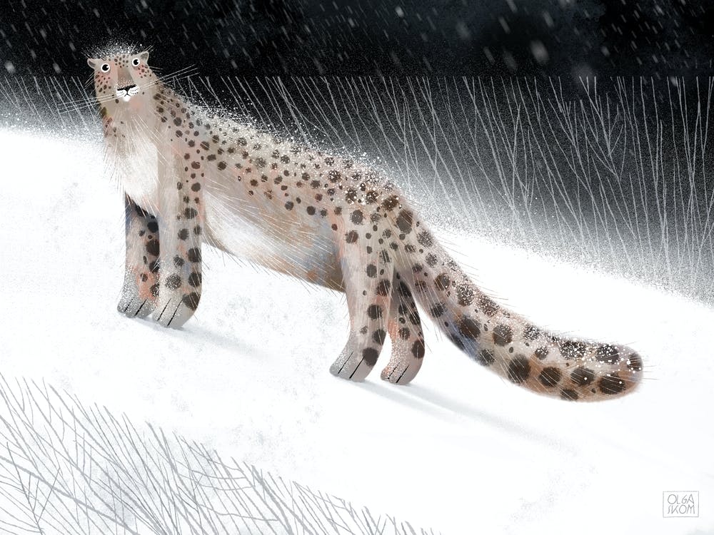 Snow leopard