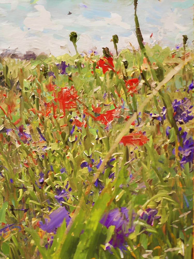Wildflowers