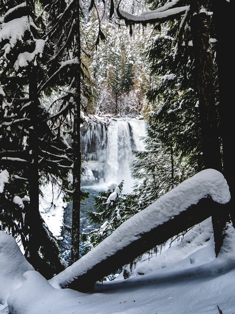 Oregon Hidden Winter Waterfall