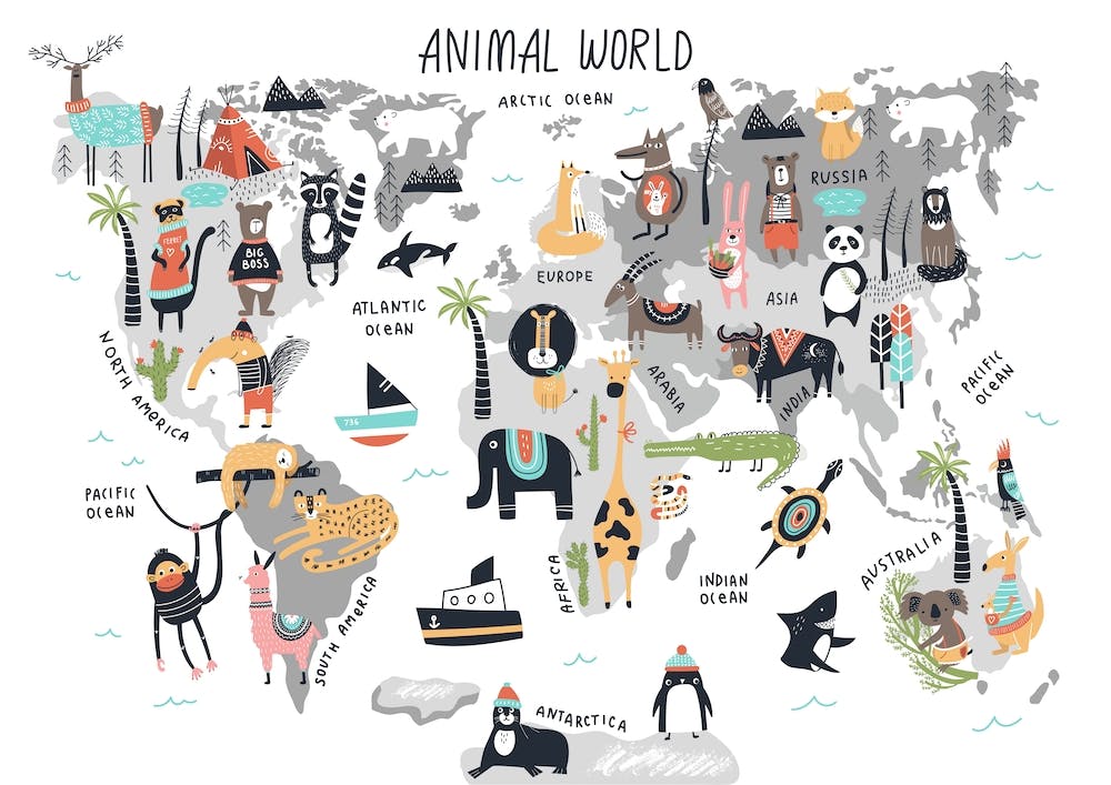 Animal World Map
