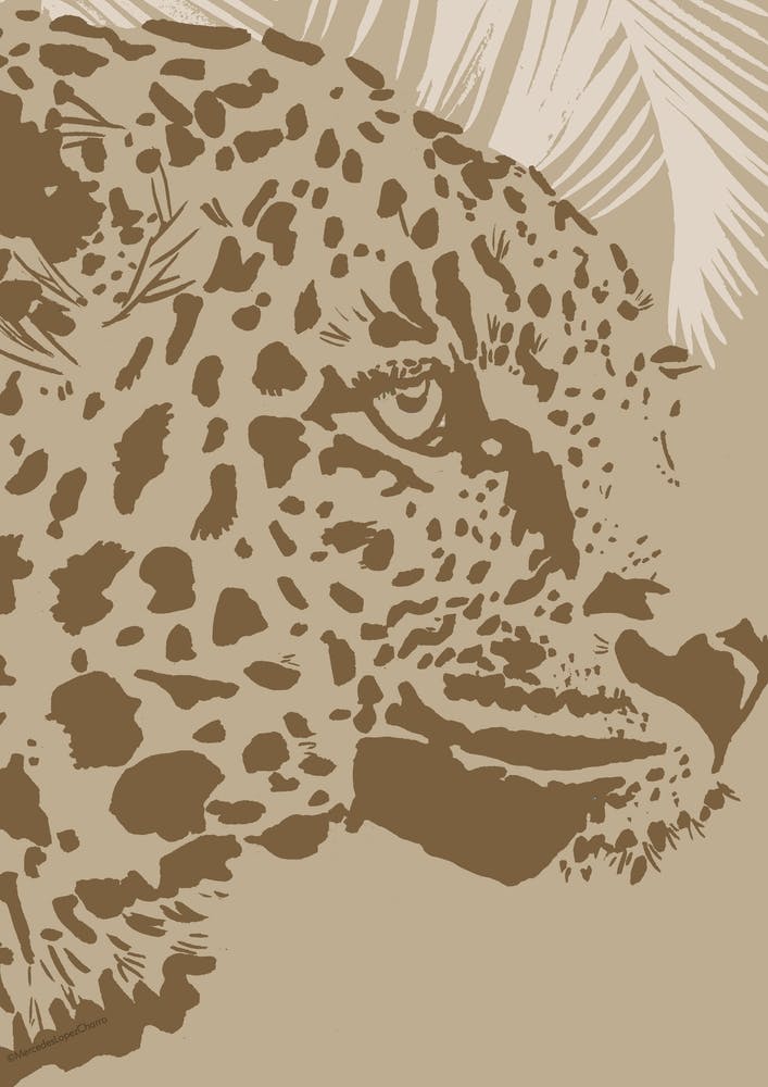 Cheetah Face Neutral