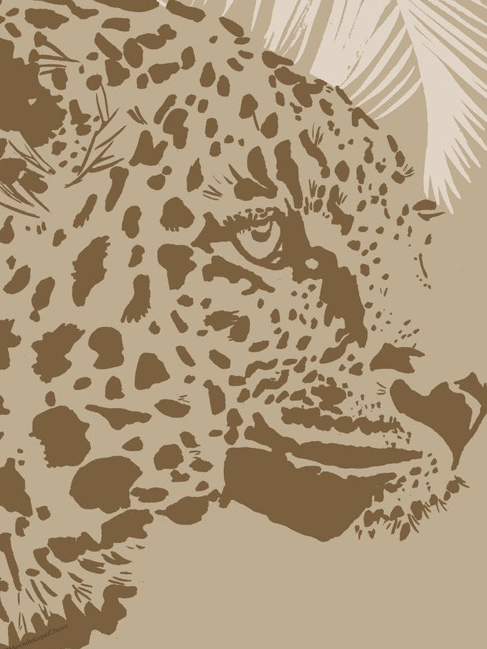 Cheetah Face Neutral