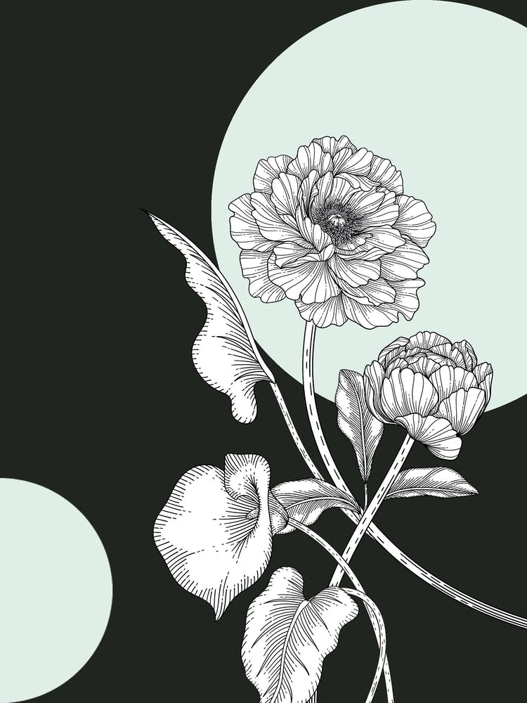 Chrysanthemums