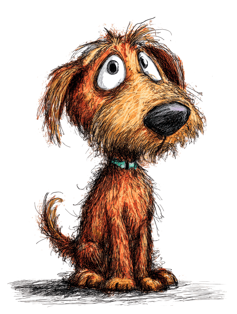 Irishdoodle 2 Dog