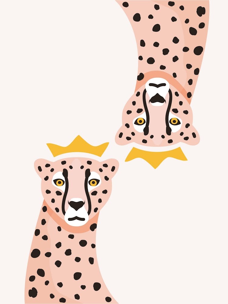 Cheetah 9