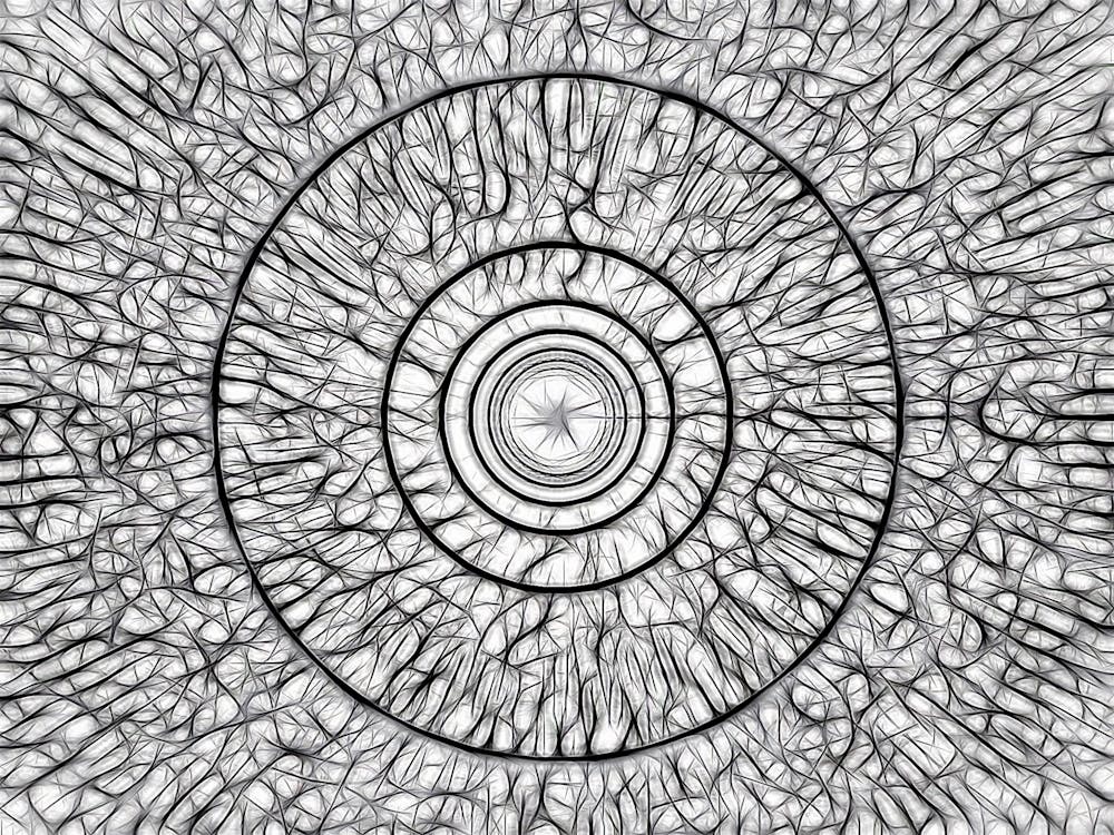 Fractal Fractals 1