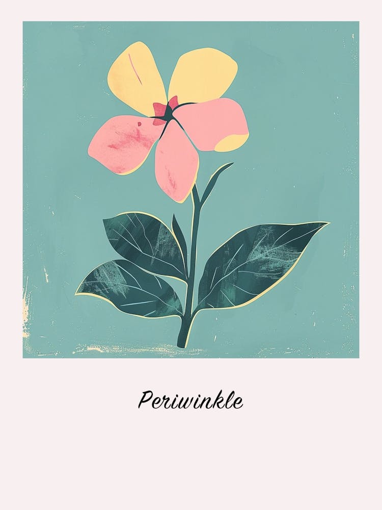 Periwinkle 2 Square Flower Illustration Poster