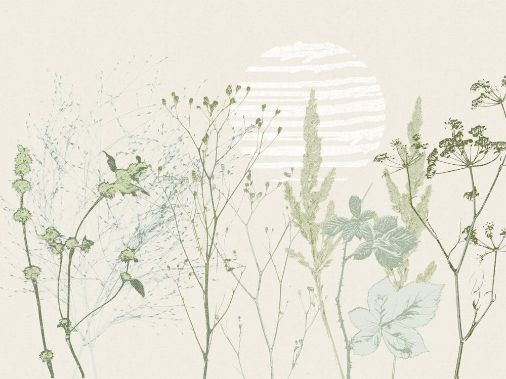 Wild Meadow Plant based calming atmosphere natural green