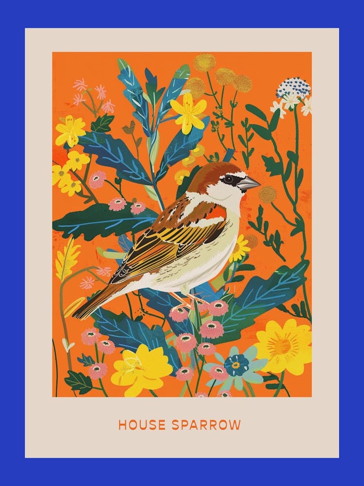 Spring Birds Poster House Sparrow 2