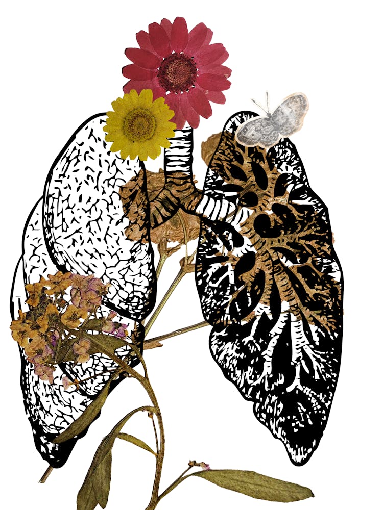 Lungs And Flowers