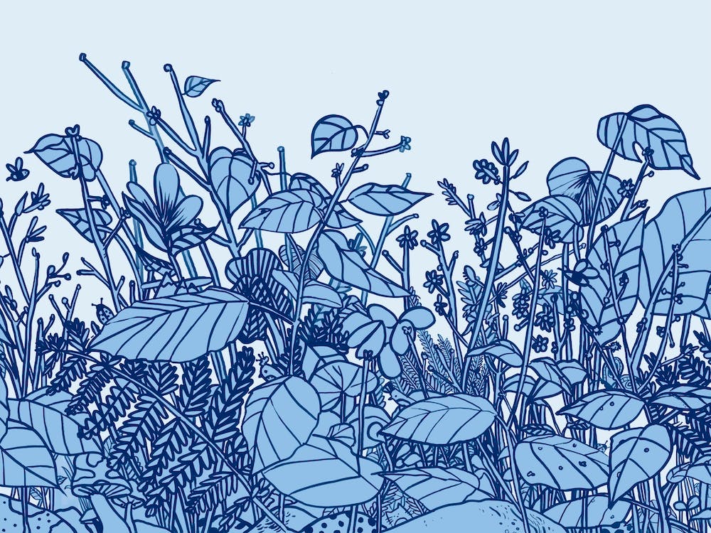 Floral Forest Toile Blue