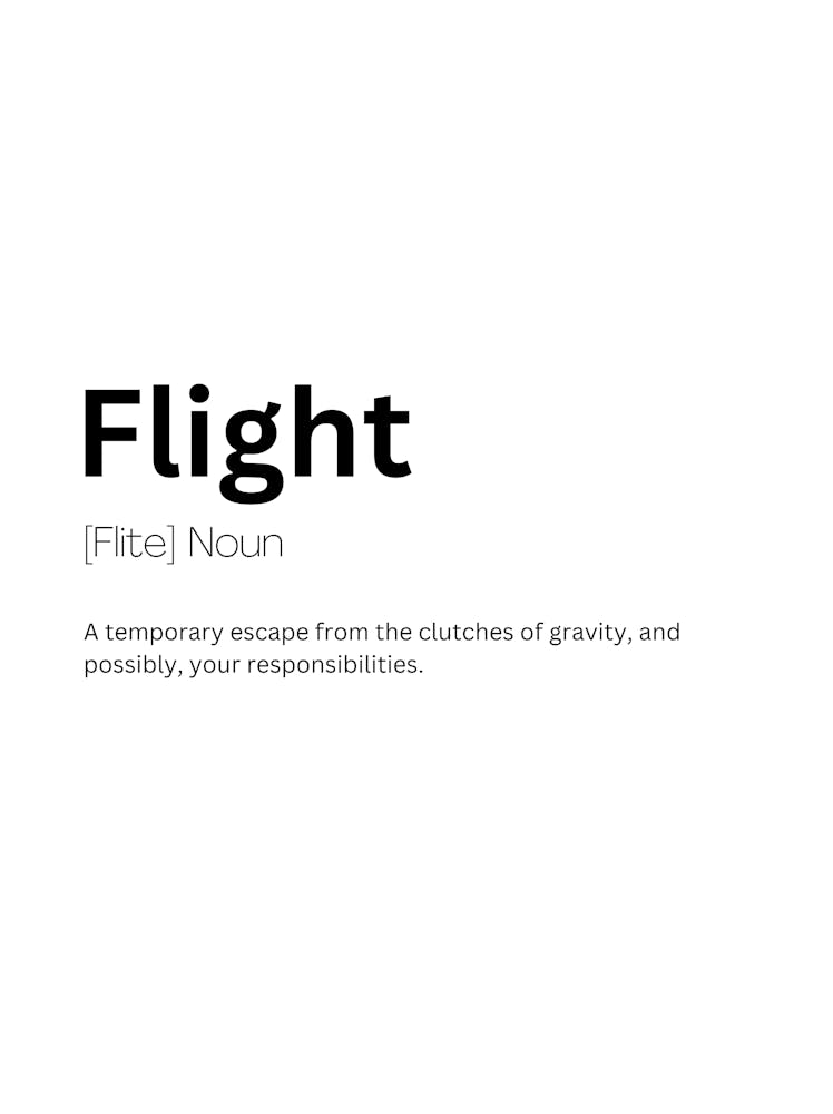 Flight Definition Meaning