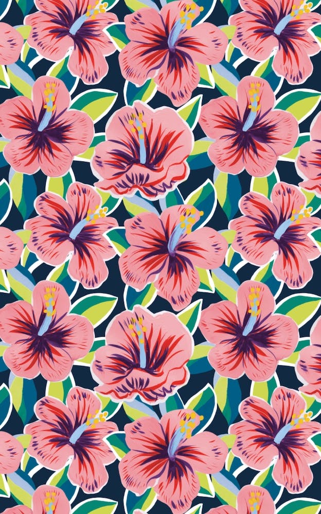 Hibiscus