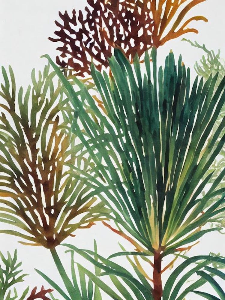 Acropora Latistella Vintage Graphic Watercolour