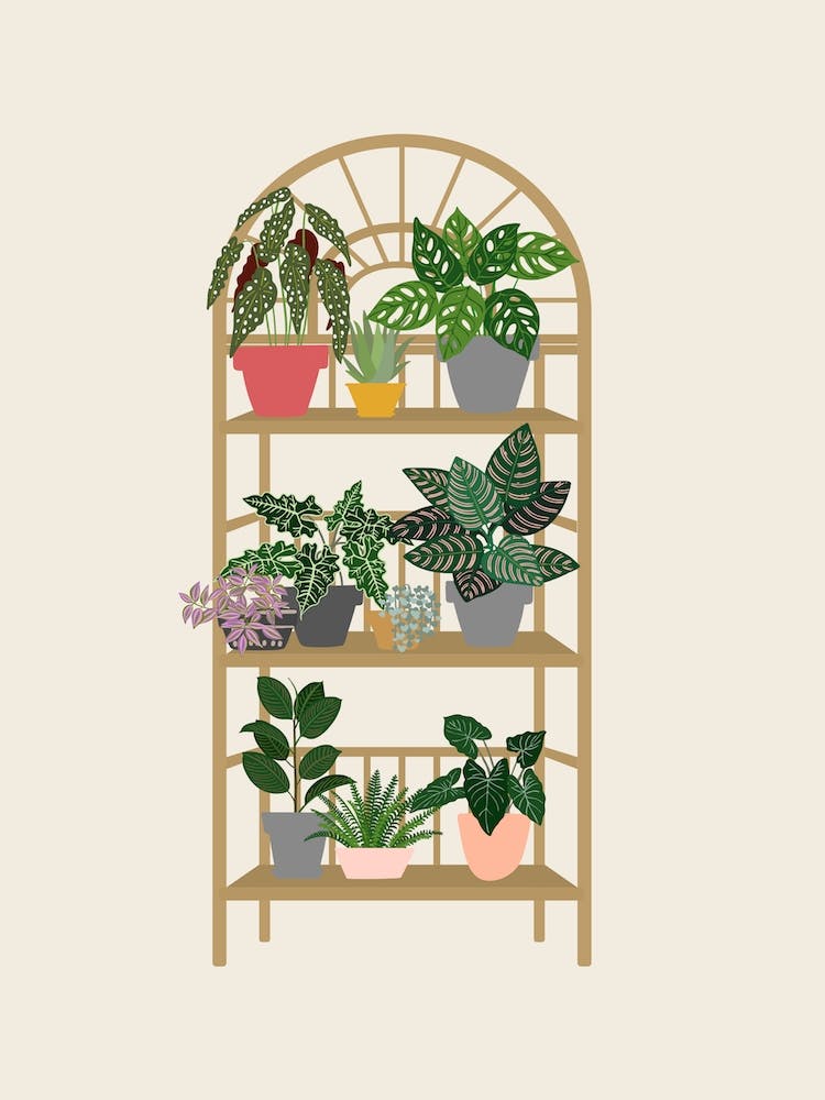 Boho Plant Shelf