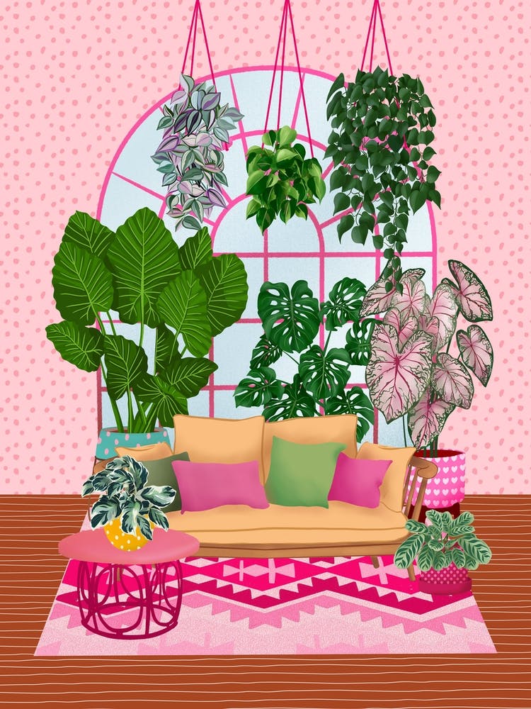 Pink Plant Room 4