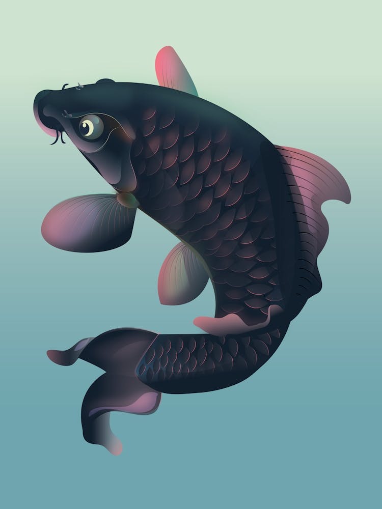 Poisson Koi
