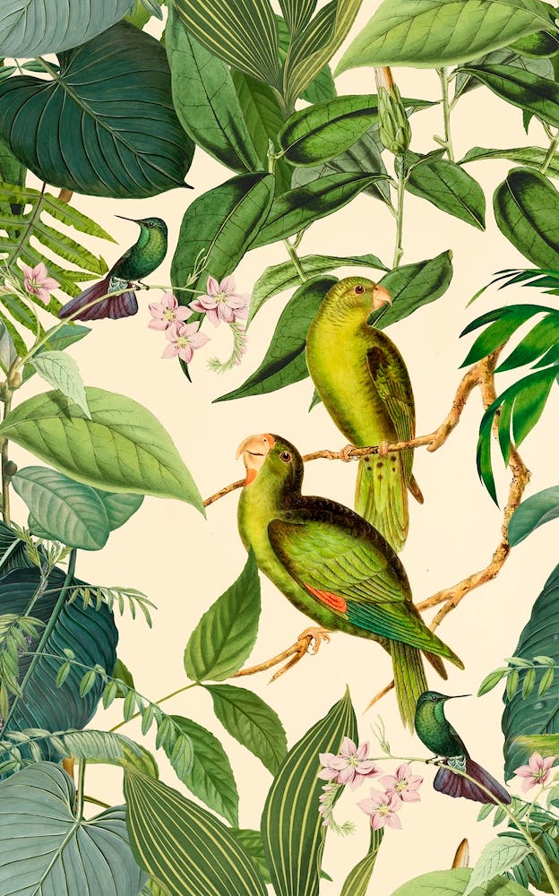 Green Jungle Parakeets