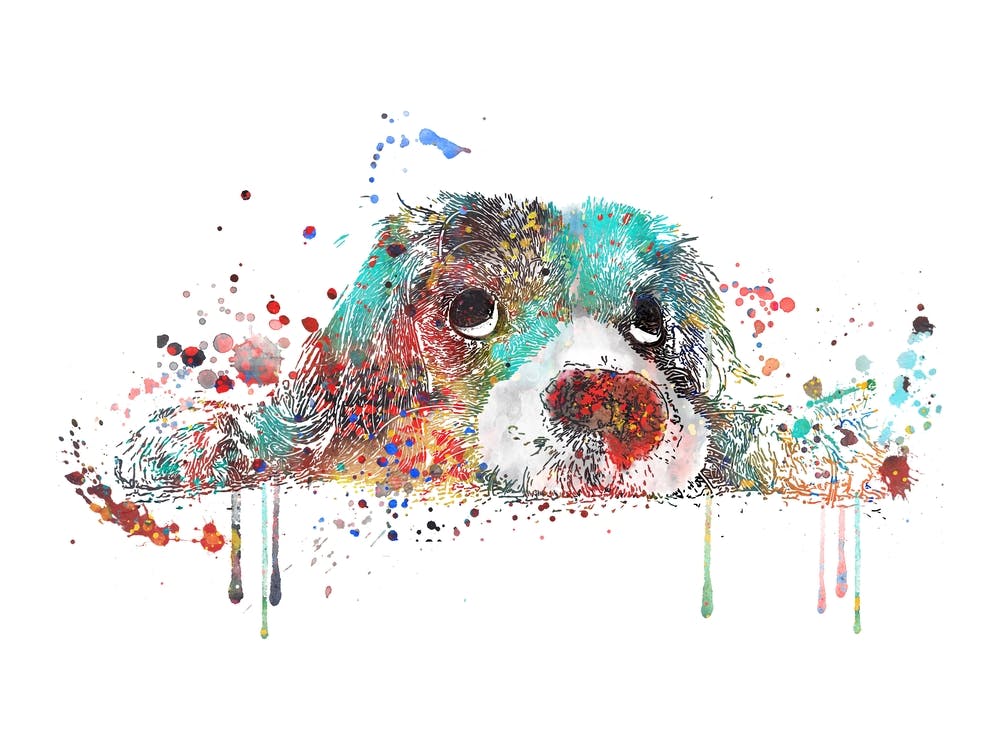 Cocker Spaniel Watercolor