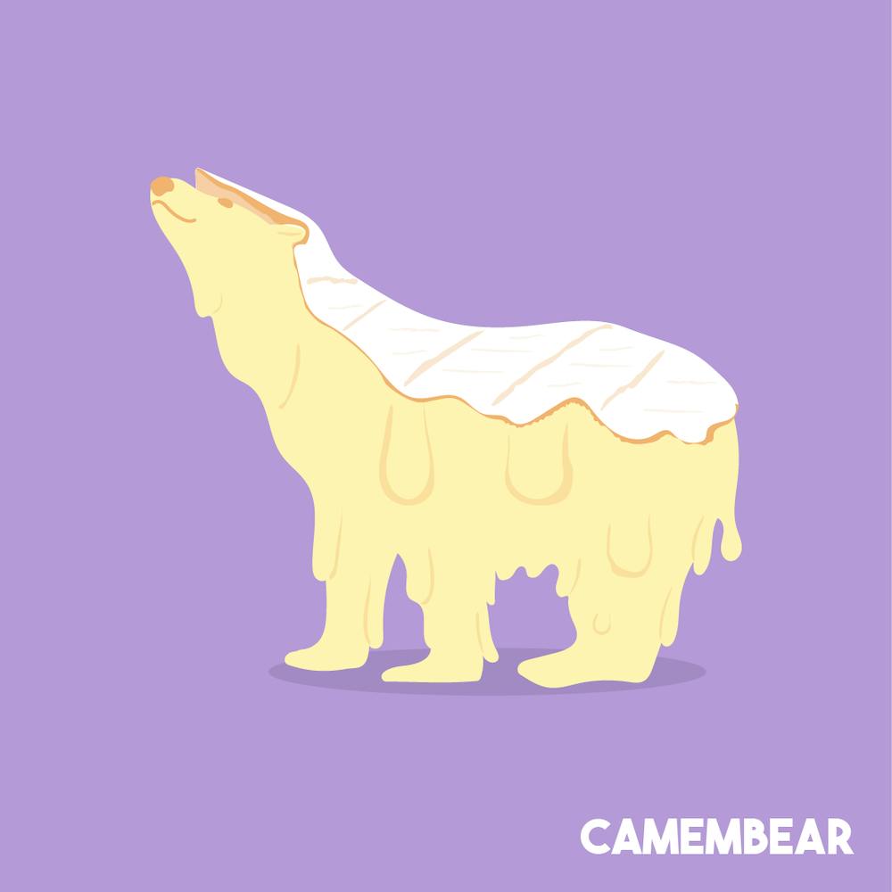 Camembear